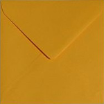 EnvORANGE