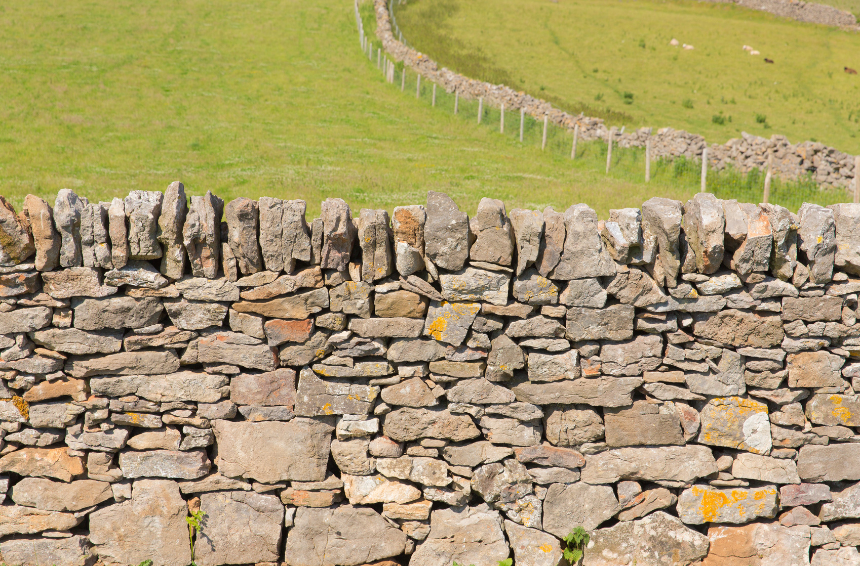 Dry stone wall The Gower Peninsula South Wales UK