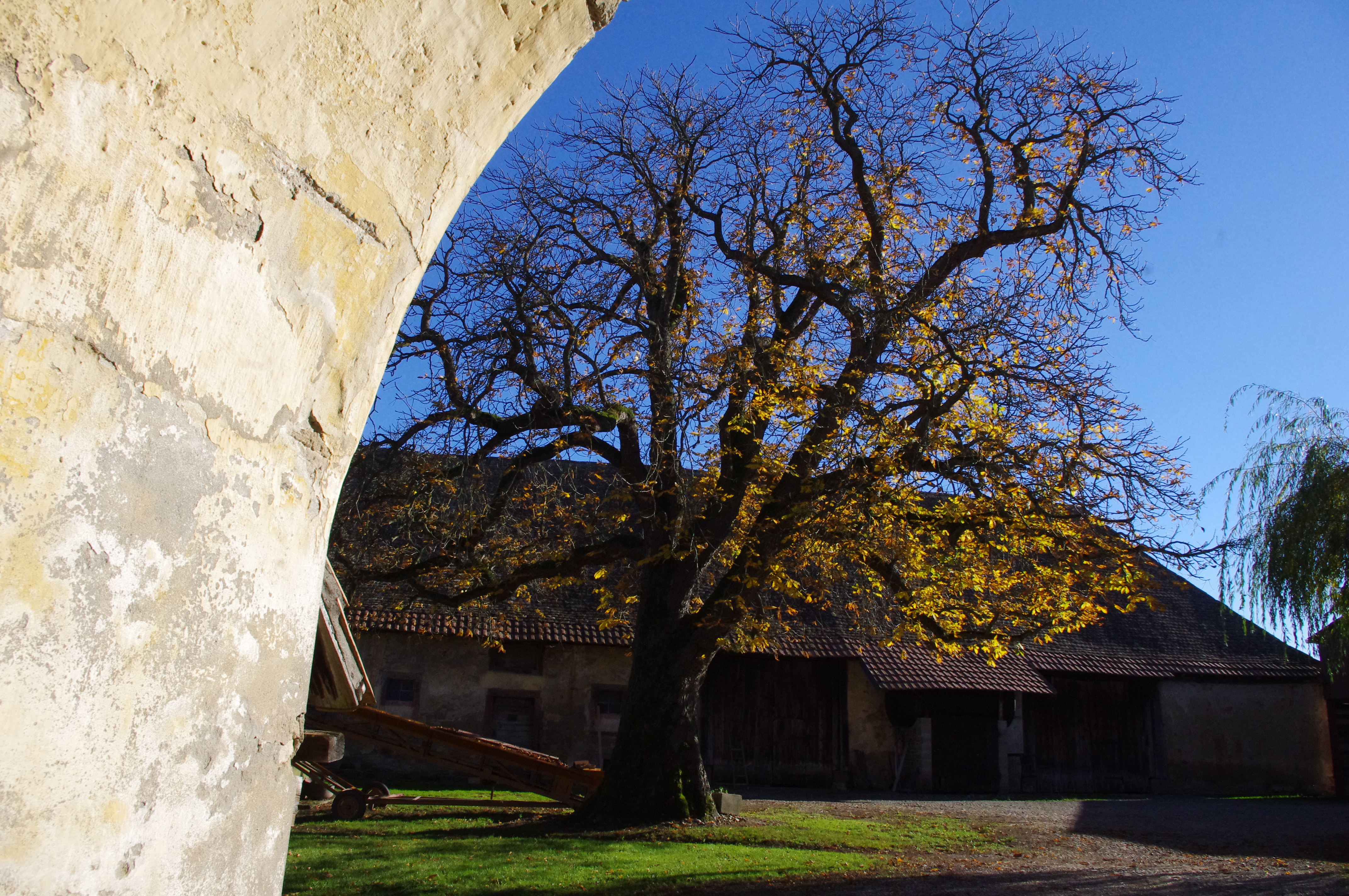 nambsheim-16-rue-du-chateau-13