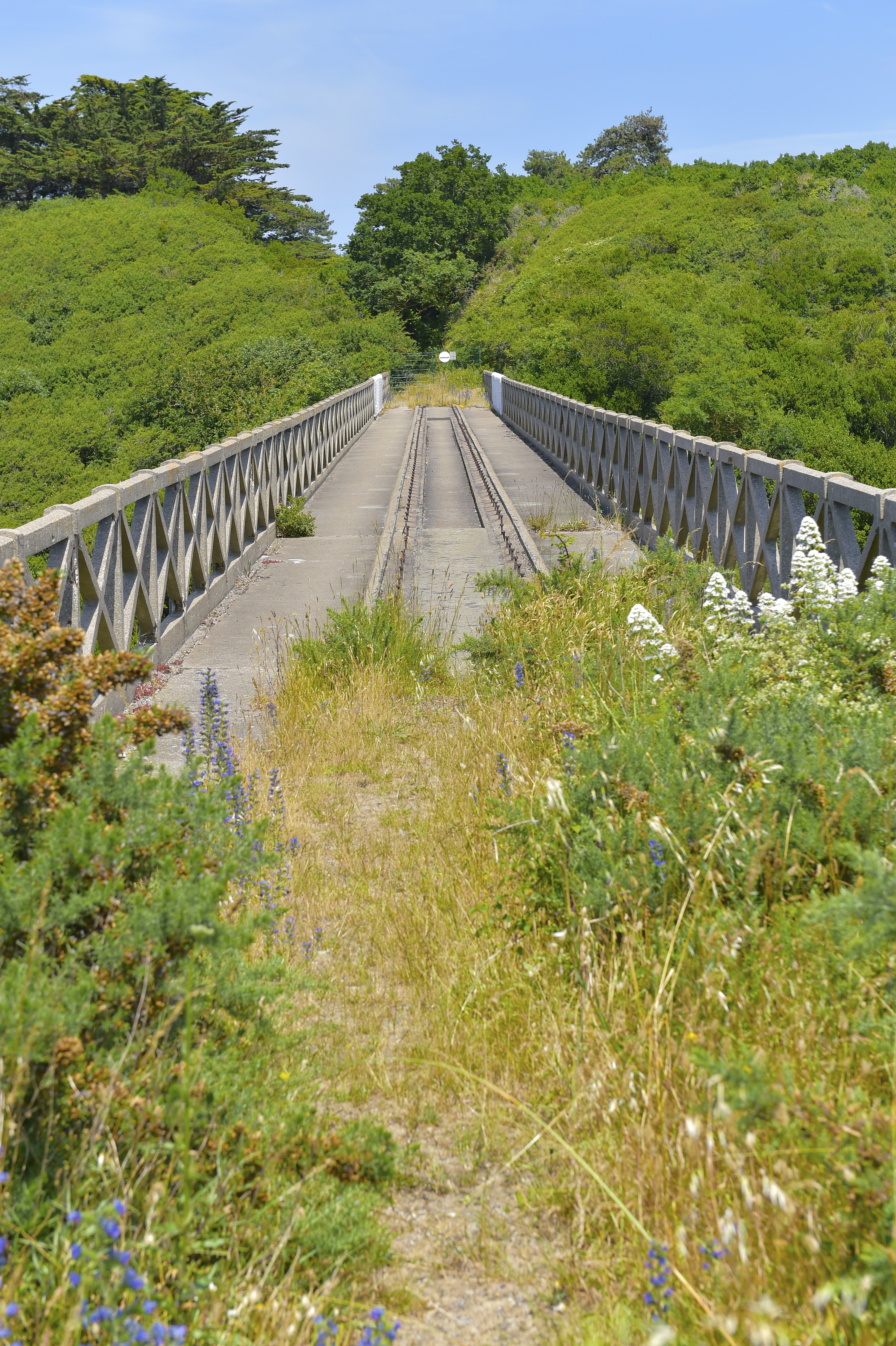 erquy-viaduc-de-caroual-photo-dominique-denis7