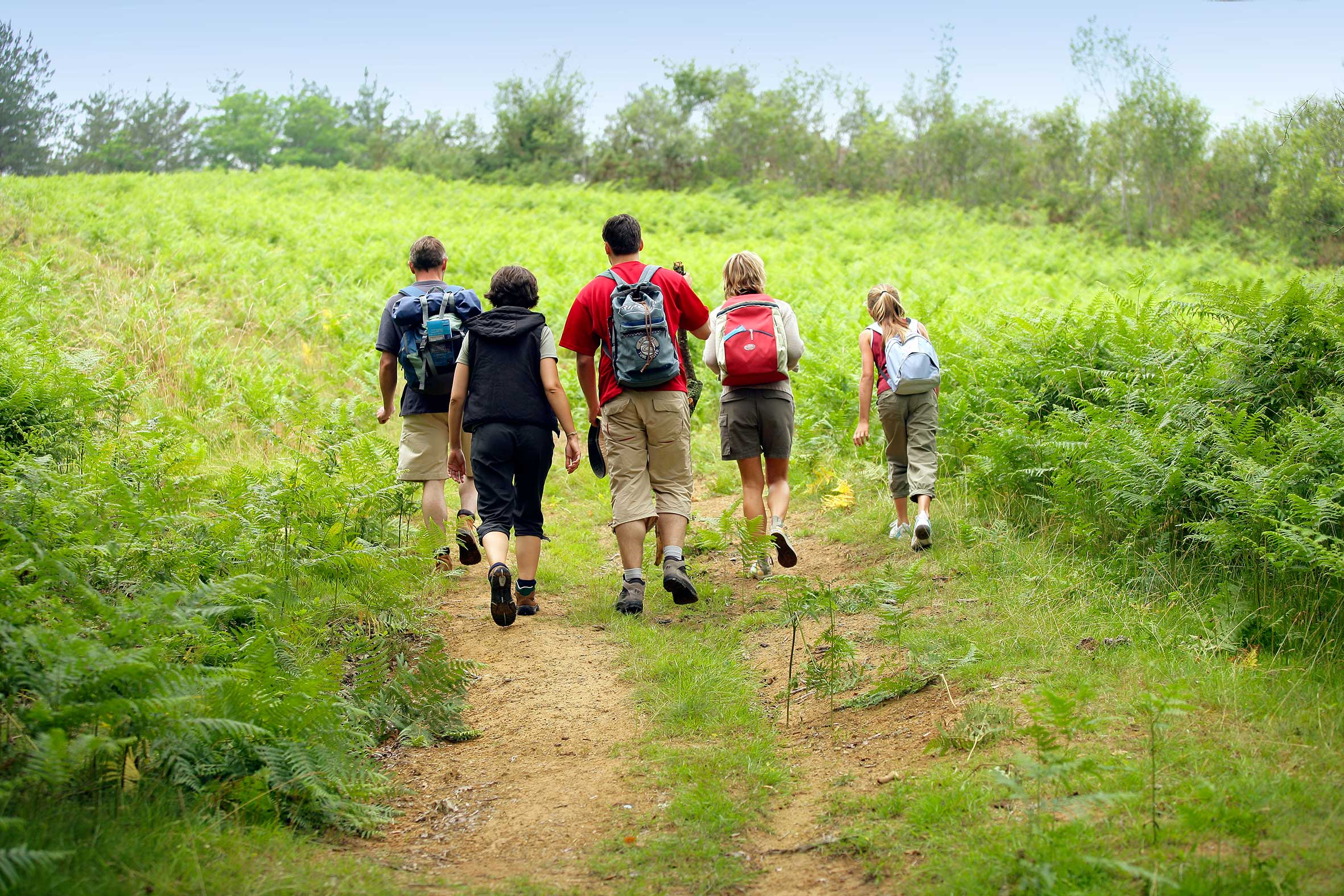 famille marcheurs sur les chemins de saint-jacques